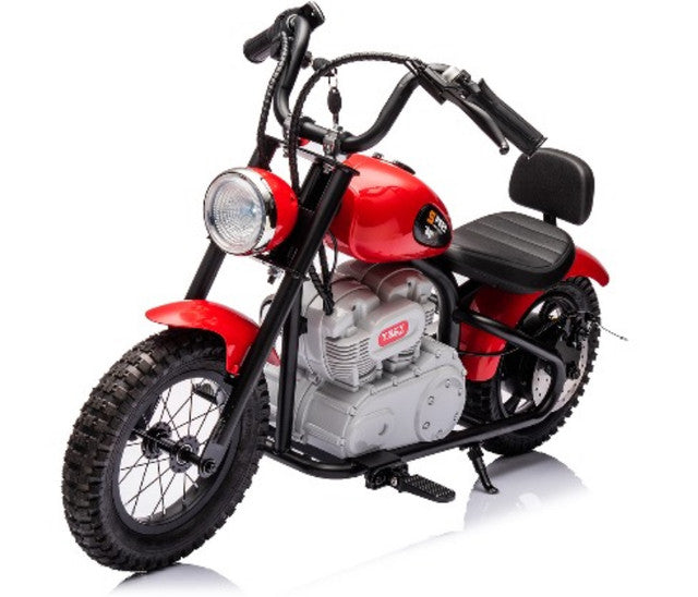 Load image into Gallery viewer, Single Rider Cruiser Bike 36V
