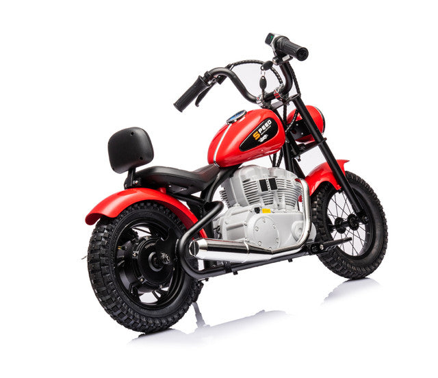 Load image into Gallery viewer, Single Rider Cruiser Bike 36V
