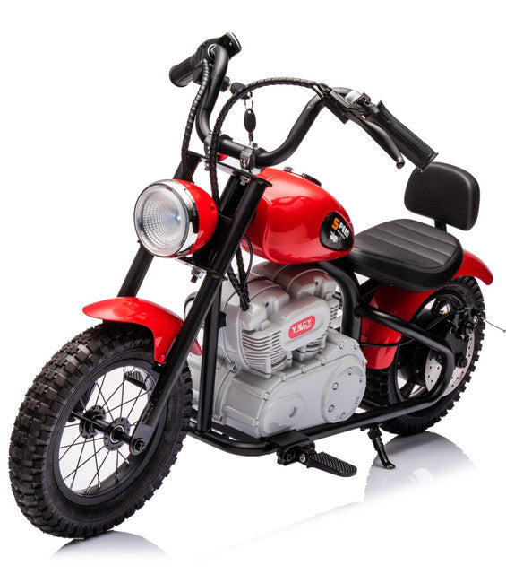 Load image into Gallery viewer, Single Rider Cruiser Bike 36V
