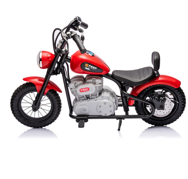 Load image into Gallery viewer, Single Rider Cruiser Bike 36V
